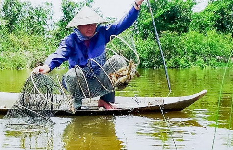 Chuyển đổi nuôi trồng thuỷ sản, thích ứng với biến đổi khí hậu ở Cà Mau