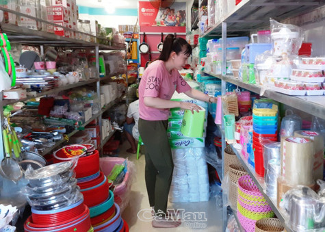 Thu ngân sách 5 tháng: Có 11/17 nguồn thu đạt khá