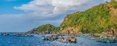 Bảo vệ đại dương xanh
