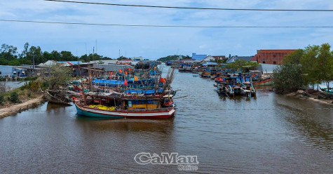 Hiệu quả công tác giảm nghèo bền vững