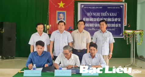 Xây dựng liên kết theo chuỗi giá trị cho nông sản