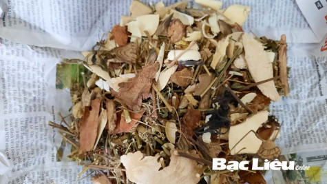 Tự ý chữa bệnh bằng cây thuốc nam - hiểm họa khôn lường