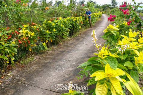 Mặt trận tham gia xây dựng đảng, chính quyền