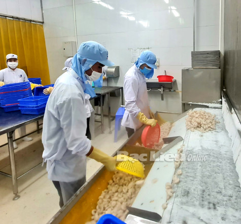 Doanh nghiệp chật vật duy trì sản xuất - kinh doanh