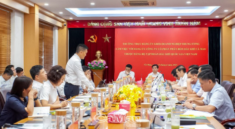 Thường trực Đảng uỷ Khối Doanh nghiệp Trung ương làm việc với Đảng uỷ PVCFC