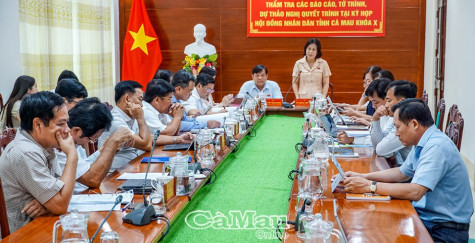 Ban Kinh tế - Ngân sách thẩm tra tờ trình trước kỳ họp