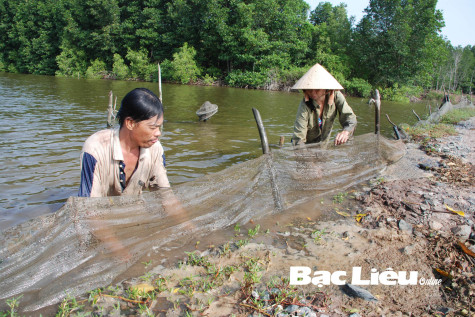 Phát triển mô hình nuôi tôm quảng canh cải tiến - cải tiến kết hợp: Cần quan tâm môi trường và quản lý quy hoạch