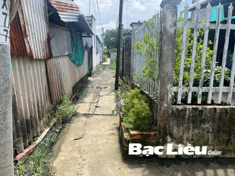 Bồn hoa xây trên lối đi chung