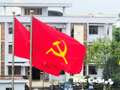 Hướng dẫn sử dụng cờ Đảng