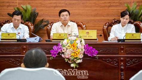 Thảo luận, góp ý các văn bản trình Kỳ họp thứ 10 HĐND tỉnh