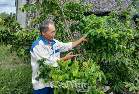 Nhiều giải pháp giảm nghèo