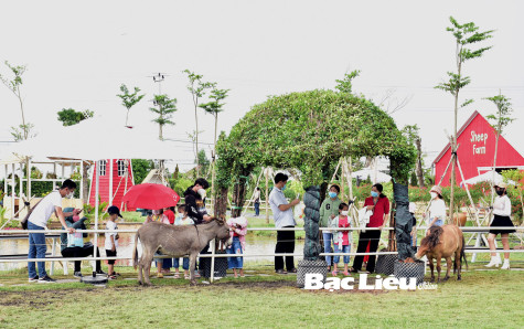 Bạc Liêu dập dìu du khách vào dịp hè