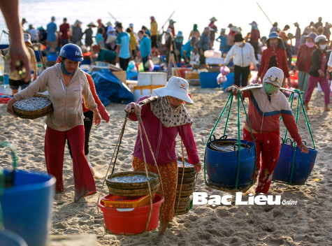 Những bóng hồng xứ biển