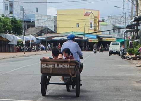 Những chuyến xe rong chơi