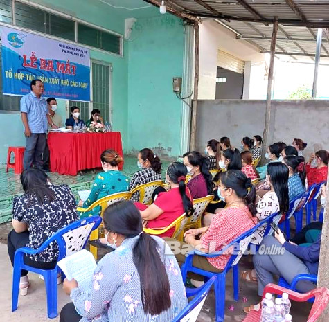 Hỗ trợ phụ nữ phát huy vai trò trong kinh tế tập thể