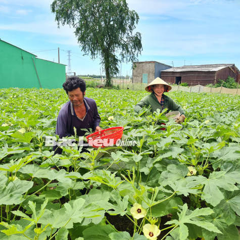 Tiếp sức cho hộ mới thoát nghèo
