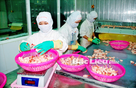 Tạo tăng trưởng từ đẩy mạnh phát triển doanh nghiệp
