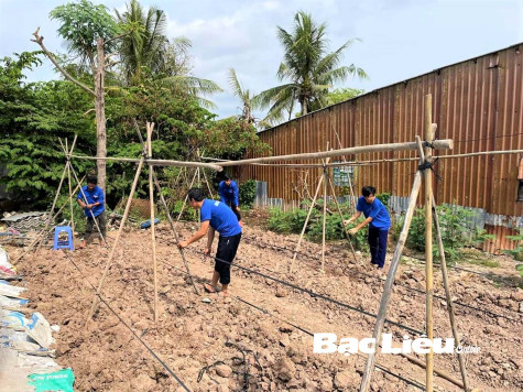 Thanh niên nông thôn: Tận dụng đất hoang làm mô hình kinh tế