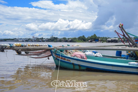 Trở lại làng cá Hố Gùi