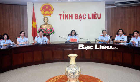 Thanh tra Chính phủ triển khai nhiệm vụ những tháng cuối năm 2023
