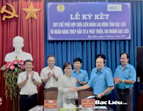 LĐLĐ tỉnh: Triển khai nhiệm vụ trọng tâm 6 tháng cuối năm 2023