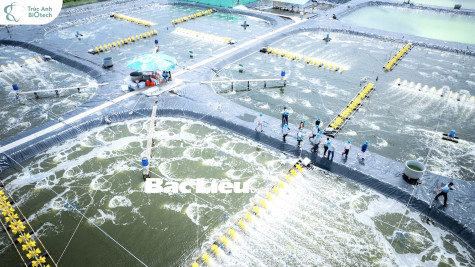 Cần tăng cường đầu tư thủy lợi phục vụ nuôi tôm