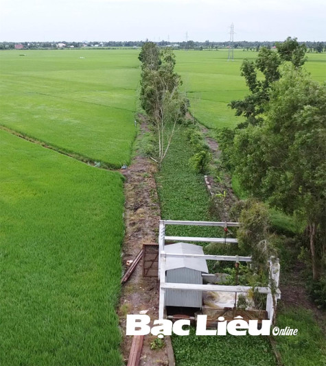 Theo dõi thời tiết để tháo nước chống ngập kịp thời