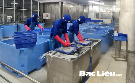 Bảo đảm an toàn vệ sinh lao động trong doanh nghiệp