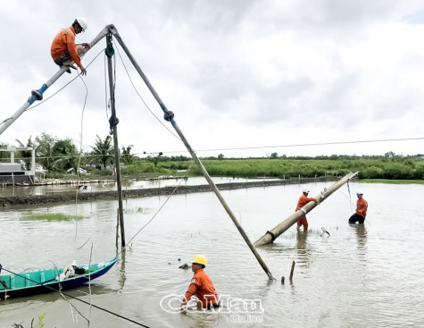 Khắc phục nhanh sự cố lưới điện