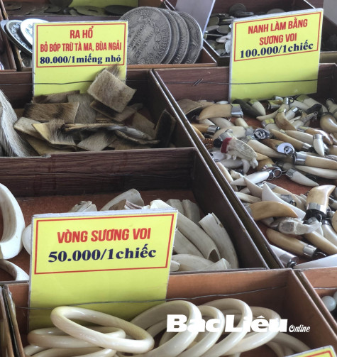 Hội chợ bán sản phẩm… chế tác từ voi, hổ?!