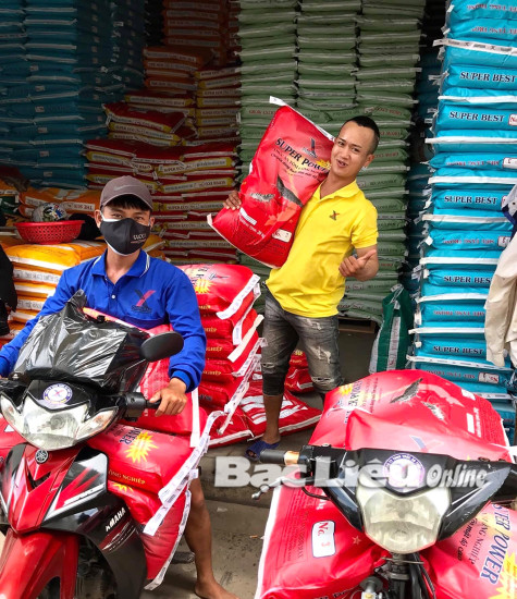 Phát triển ngành thức ăn chăn nuôi: Giải pháp căn cơ giảm giá thành sản xuất tôm