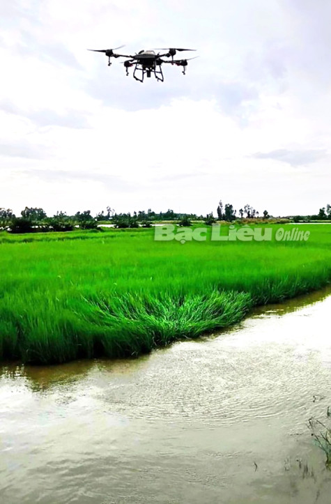 Các phương pháp canh tác lúa thông minh