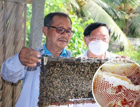 Những mô hình sản xuất giúp nông dân “đổi đời”