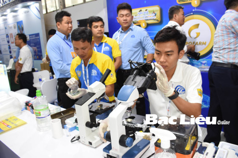 Tạo đột phá từ phát triển nguồn nhân lực chất lượng cao