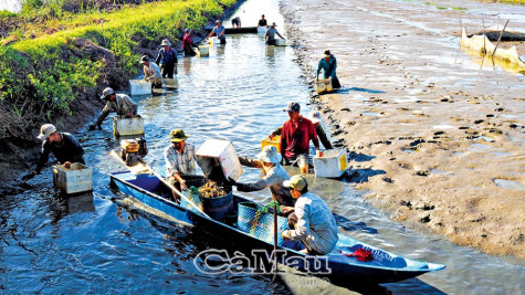 Ðột phá tăng vụ