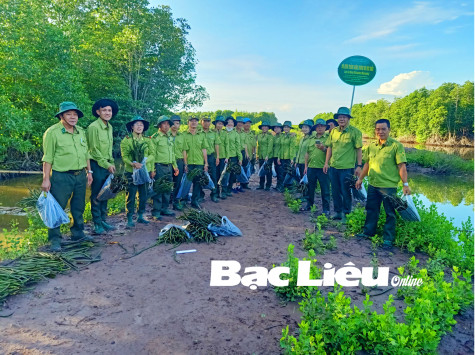 Chi cục Kiểm lâm tỉnh: Trồng dặm 3.000 cây đưng bảo vệ rừng phòng hộ ven biển