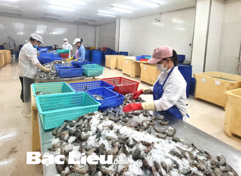 Doanh nghiệp “đau đầu” vì lao động nhảy việc