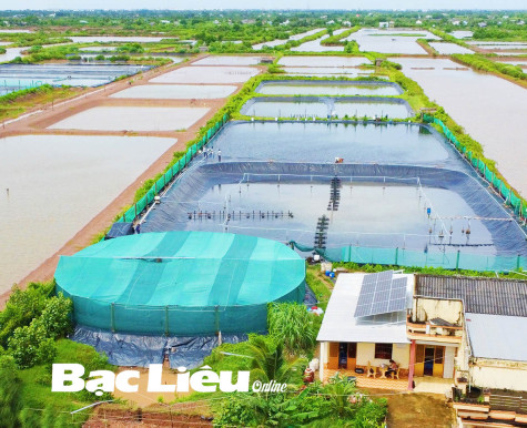 Sử dụng điện mặt trời trong nuôi tôm