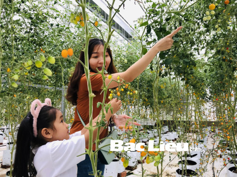 Phát triển nông nghiệp sinh thái, nông thôn hiện đại, nông dân văn minh