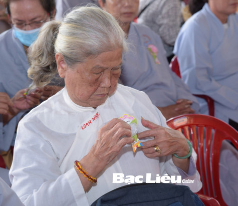 Hoa hồng trong tim…