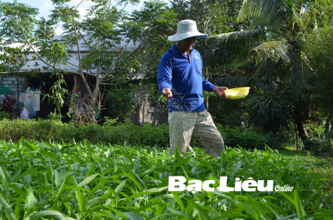 Nỗ lực giúp đồng bào Khmer thoát nghèo bền vững