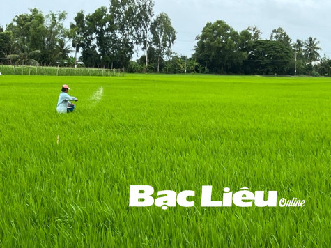 Giá phân bón tăng trở lại