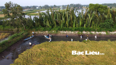 Cần hoàn thiện hệ thống thủy lợi cho vùng luân canh