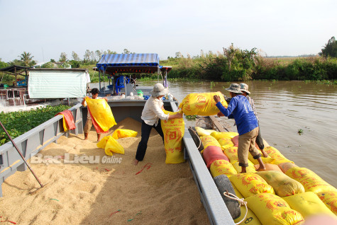Liên kết trong tiêu thụ lúa gạo: Bao giờ hết “ăn xổi ở thì”?