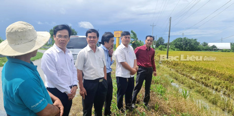 Sản xuất nông nghiệp đối mặt với thời tiết thất thường