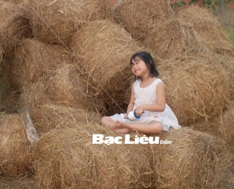 Rơm rạ ngày xưa