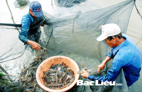 Hội thảo Giải pháp nâng cao hiệu quả mô hình sản xuất lúa - tôm gắn chuỗi liên kết tại huyện Phước Long