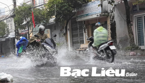 TP. Bạc Liêu ngập nặng sau cơn mưa lớn