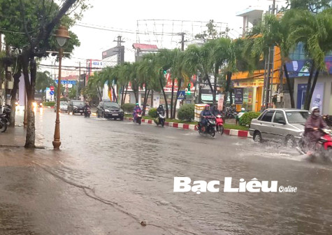 Bạc Liêu: Mưa nhiều, biển động