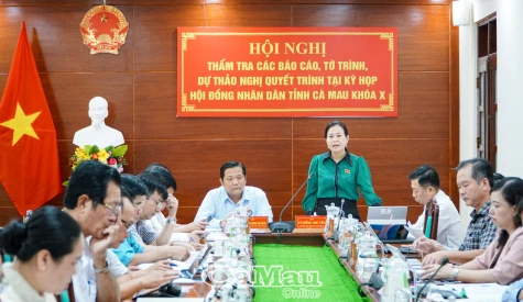 Thẩm tra nhiều nội dung quan trọng trình Kỳ họp thứ 11, HĐND tỉnh Cà Mau khoá X